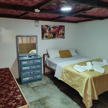 Antique House *