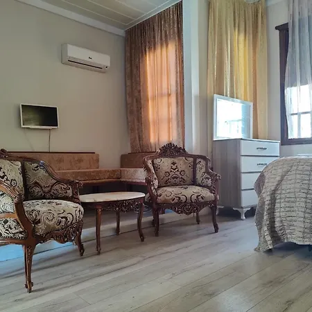 Antique House *