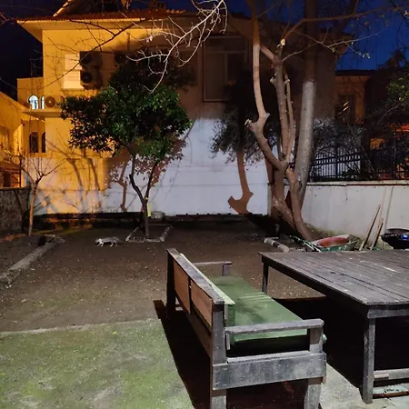 Antique House