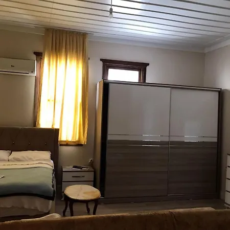 Antique House