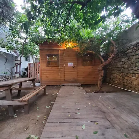 Antique House *