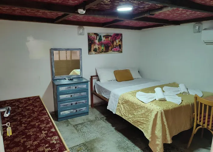 Antique House *