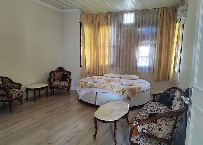Antique House
