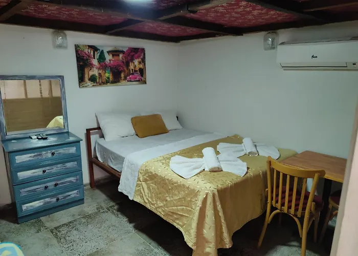 Antique House *