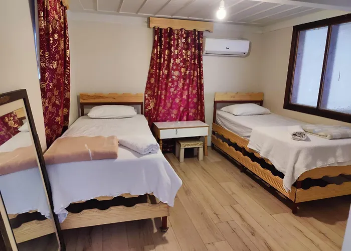 Hotel Antique House *