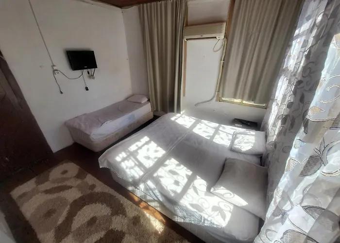 Hotel Antique House *