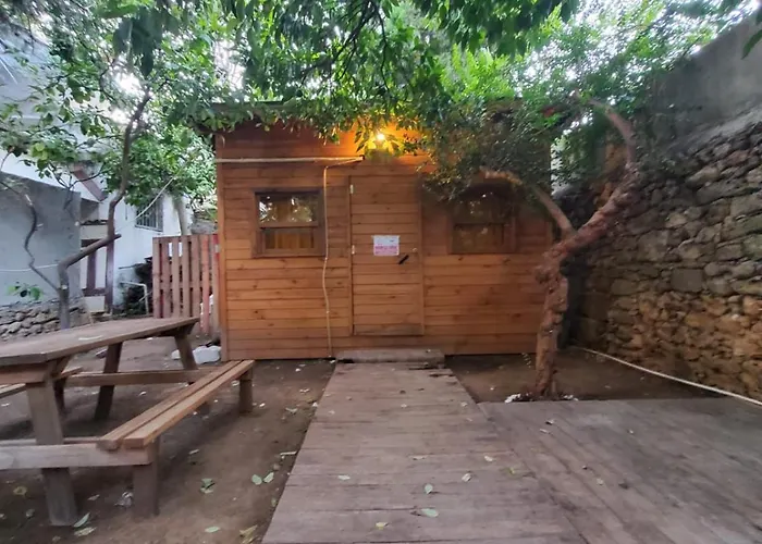 Antique House *