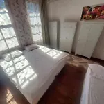 Antique House *