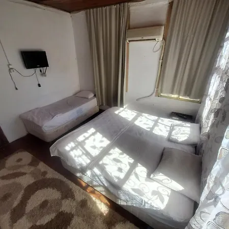 Hotel Antique House *