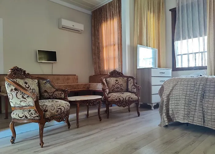 Antique House *