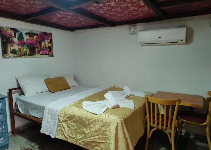 Hotel Antique House *