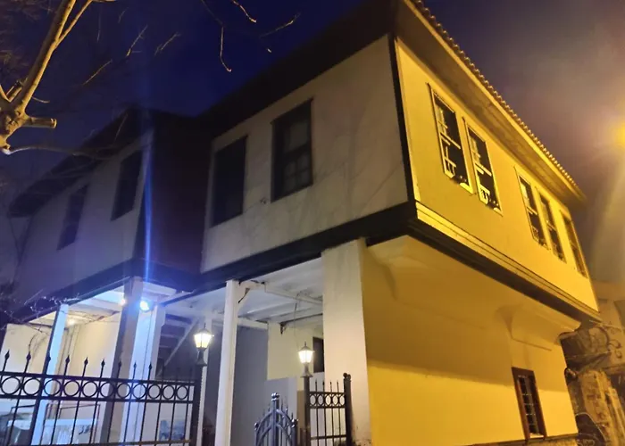 Antique House *