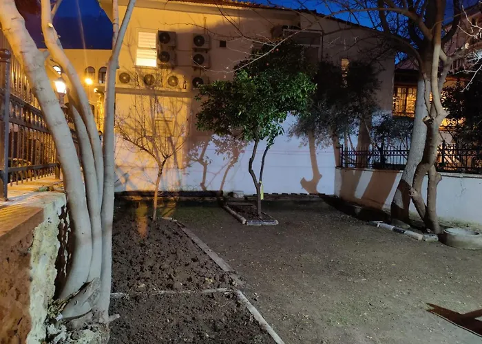 Antique House *